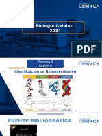 Biología Celular-Identificación de biomoléculas en alimentos-3-16 (6)-convertido