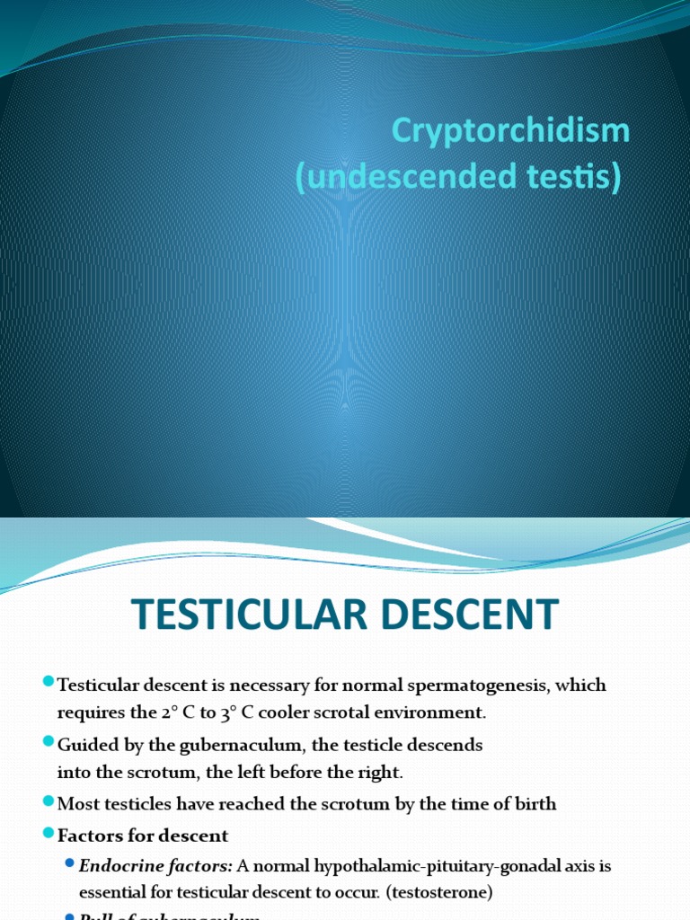 Understanding Cryptorchidism and Management | PDF | Testicle | Medicine