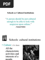 Schools As Cultural Institution