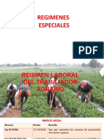 Regimenes Especiales (Agro. Constr - Civ. Mineria)