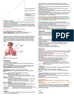 Functions of The Respiratory System: Inside-Rest