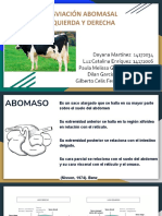 Desviacion Abomasal