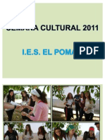 Semana Cultural 2011 4