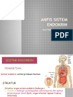 Anfis Sistem Endokrin