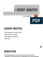MN499 CH5 Business Credit Analysis