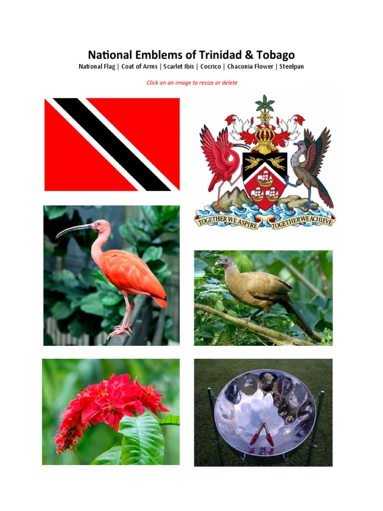 National Emblems of Trinidad & Tobago Do PDF