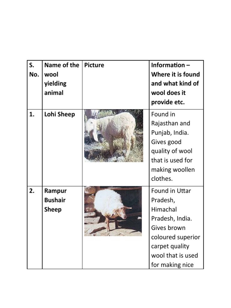 S. No. Name of The Wool Yielding Animal Picture Information - Where It Is  Found and What Kind of Wool Does It Provide Etc. 1. Lohi Sheep | PDF | Wool  | Textiles, image size:768x1024
