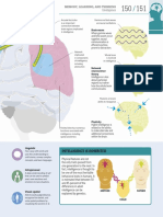 How The Brain Works The Facts Visually Explained-151-224