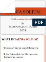 Taenia Solium: by Nurnajwa Binti Pahimi