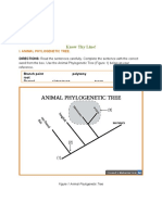 Know Thy Line!: I. Animal Phylogenetic Tree