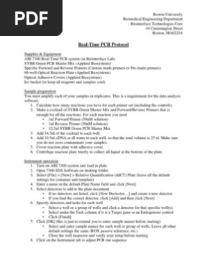 RT PCR protocol