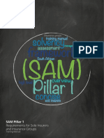 SAM Pillar 1: Requirements For Solo Insurers and Insurance Groups