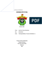 Makalah Hidroponik - Andi Nur Fauzan Ramadana - G011191212 - Teknologi Budidaya Tanaman Hortikultura A