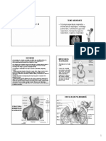 Curs 6 Fiziologie