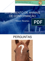 JULGAMENTO DE ANIMAIS DE CONFORMACAO - Zootecnia Equinos