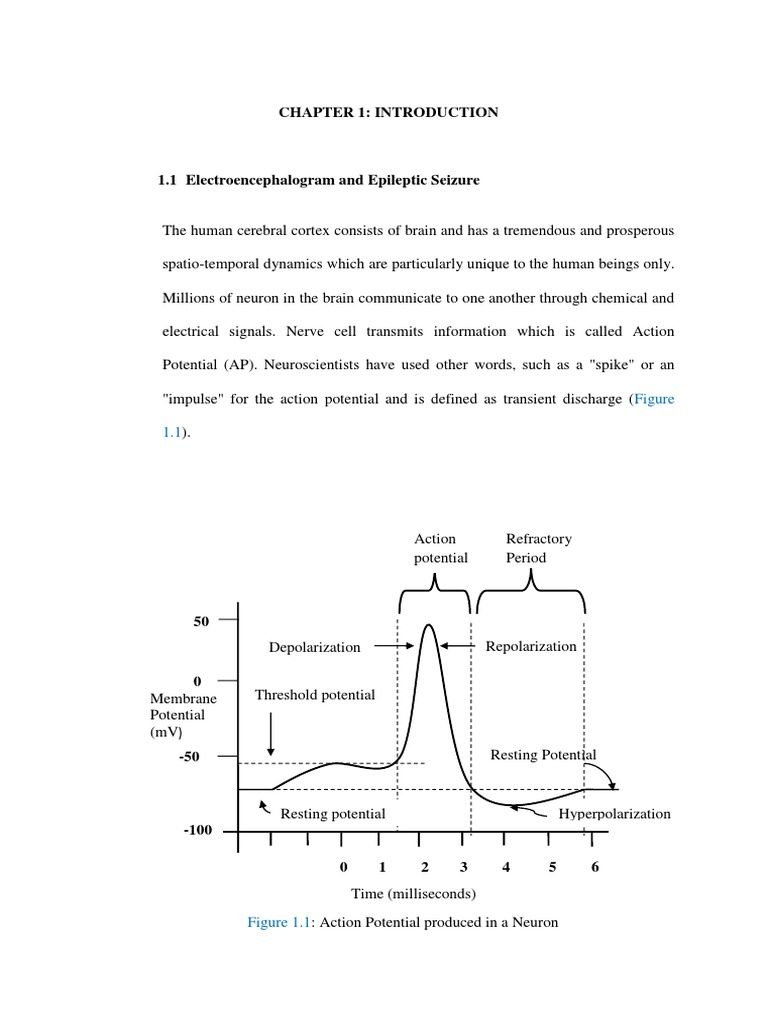 10 - Chapter - 01 Seizure Detection | PDF | Electroencephalography ...