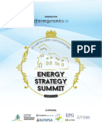 Raport Energy Strategy Summit Web