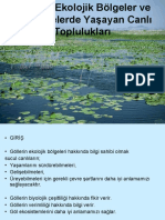 Göllerde Ekolojik Bölümler