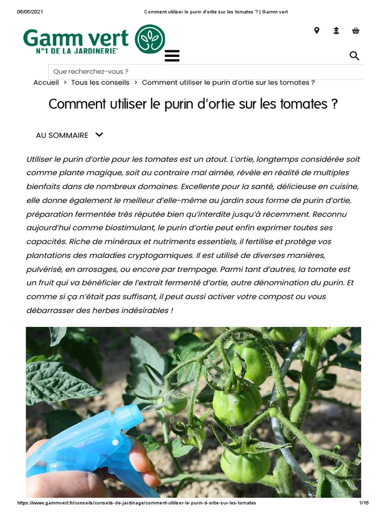 Comment Faire Du Purin D Ortie Pour Les Tomates