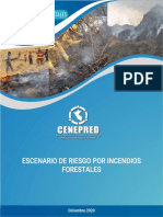 Escenario de Riesgo Por Incendios Forestales