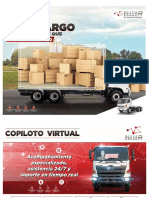 fm8j Cargo