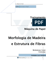 001 - Morofologia Da Madeira e Estrutura de Fi