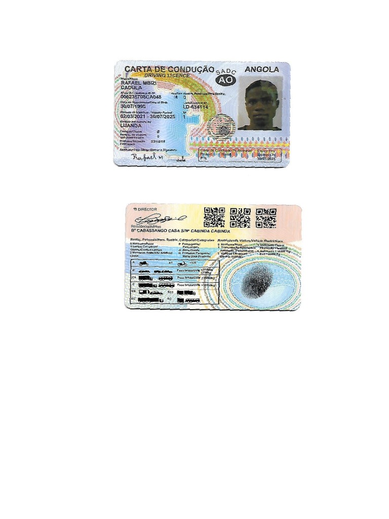 Carta De Condução Pdf