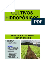 Principais%20cultivos%20hidrop%F4nicos%20%205%AA%20aula