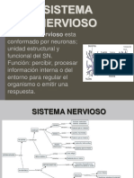 Morfofisiologia Sistema Nervioso y Endocrino