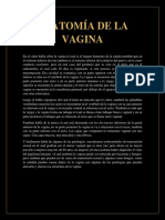 Anatomía de La Vagina