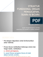 Struktur Fungsional Organ Pengucapan, Suara & Bicara