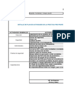 Plan de actividades de práctica pre-profesional en SST