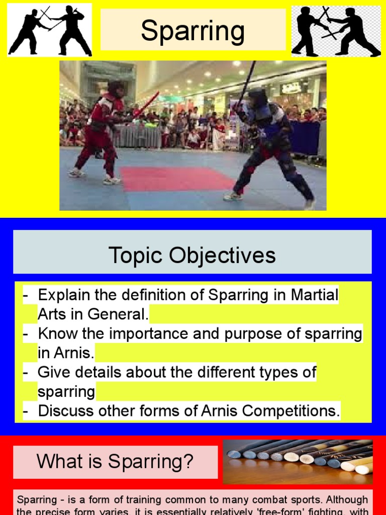 Sparring Rules PDF Recreation Combat