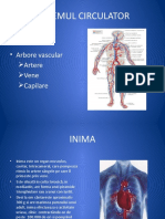 Activitatea_cardiaca