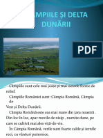 Delta Dunării