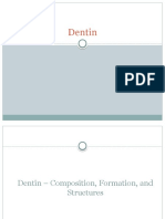 04 Dentin - English