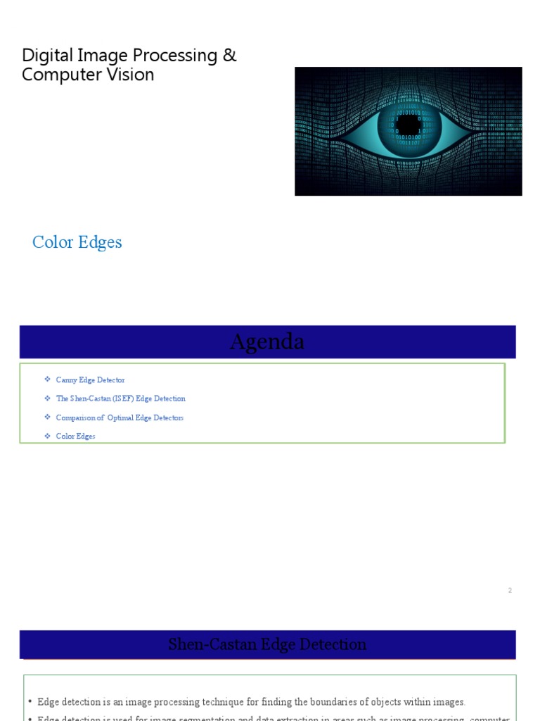 Computational Color Science: Variational Retinex-like Methods