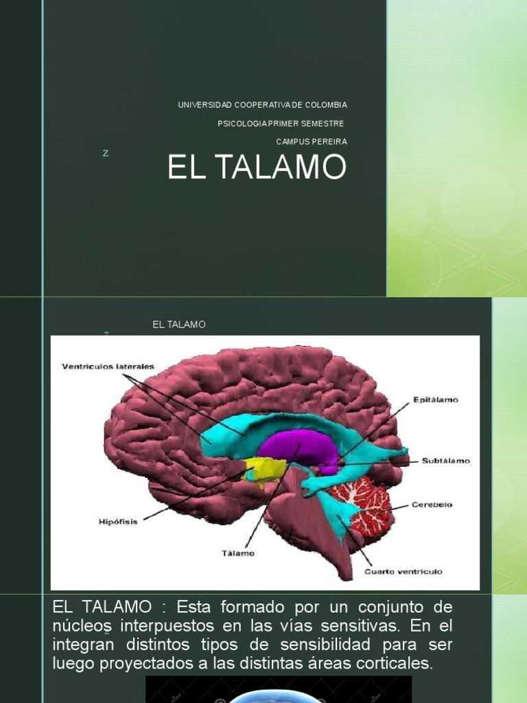 El Talamlo | PDF | Ciencia y matemáticas