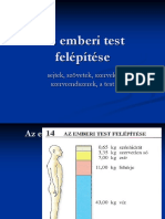 Az Emberi Test Szoveti Felepitese