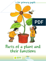 29873-Parts of A Plant and Their Functions