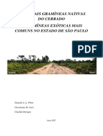 Principais gramíneas nativas do Cerrado e exóticas invasoras em SP