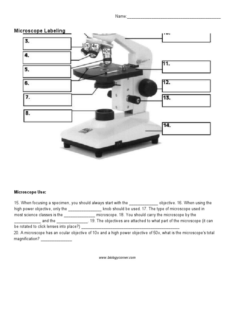 Compound Microscope Diagram Without Labels