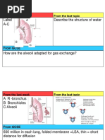 6.8 Exchange of Gases in The Lungs