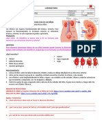 Laboratorio Biologia 2p 8