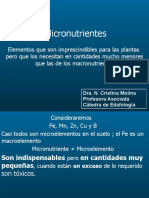 Micronutrientes Del Suelo (1)