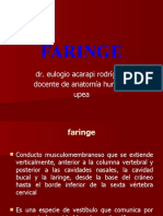 Faringe 140502135231 Phpapp02