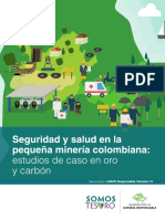 07 10 2017 Somos Tesoro Seguridad y Salud PEQUEÑA MINERÍA