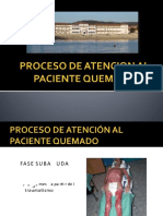 PDF Proceso de Atencion Al Paciente Quemado