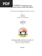 Summer Training Report On COMMERCIAL SURVEILLANCE SYSTEM USING COMPUTER VISION