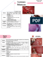 Lesiones Blancas en Patología Bucal